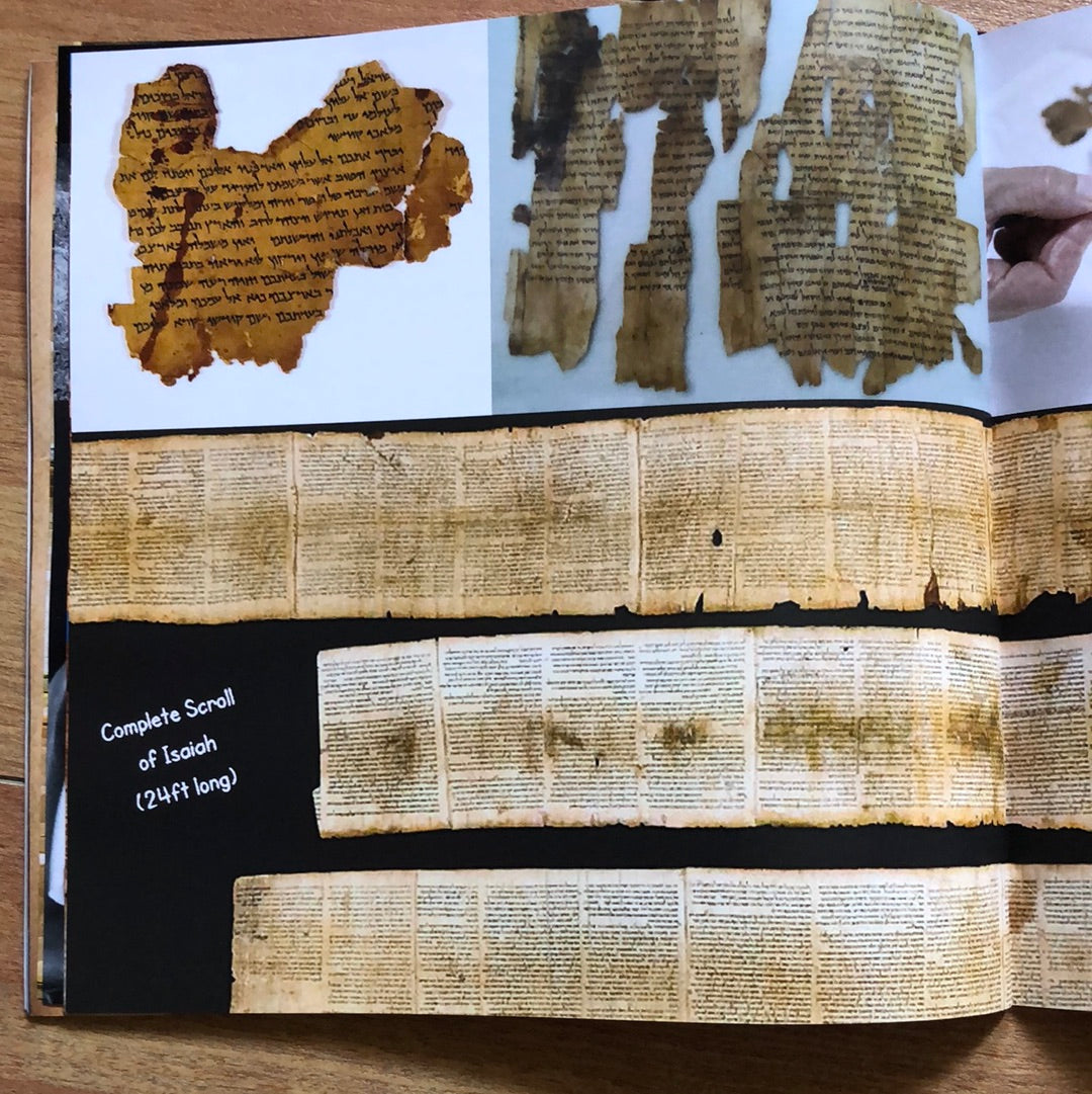 The Hidden Treasure of the Dead Sea Scrolls